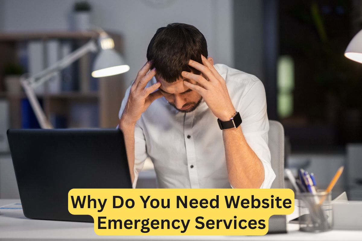 emergency help from a web developer